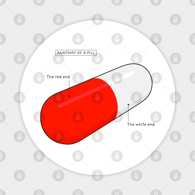 Anatomy of a Pill Magnet by helengarvey